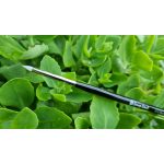 Luxury Nails by Attila Csemez – Art Pen